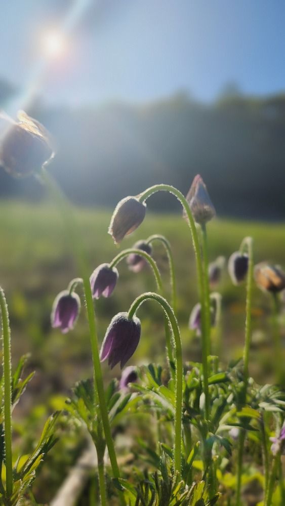 Photograph by Speed Girl