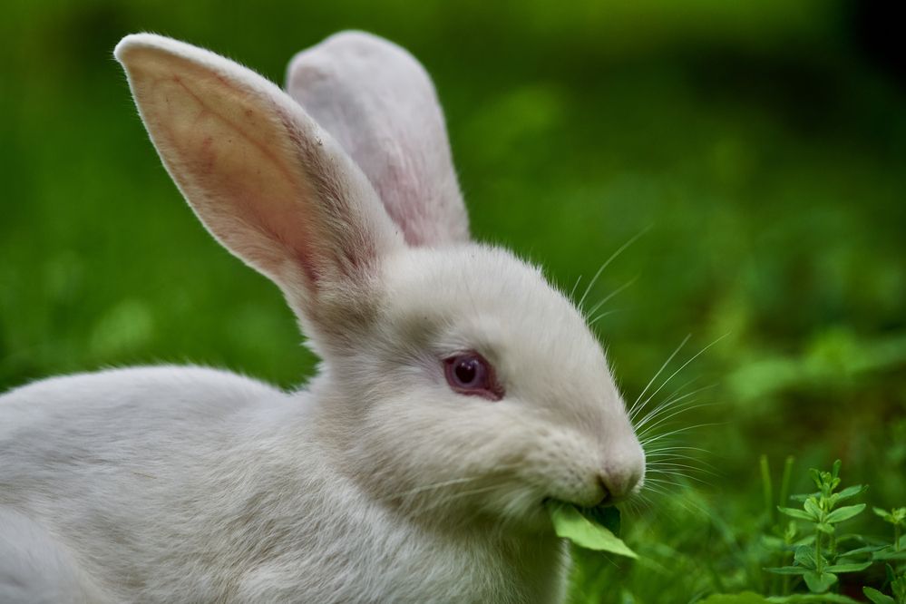 Фотография автора Игорь Игоревич