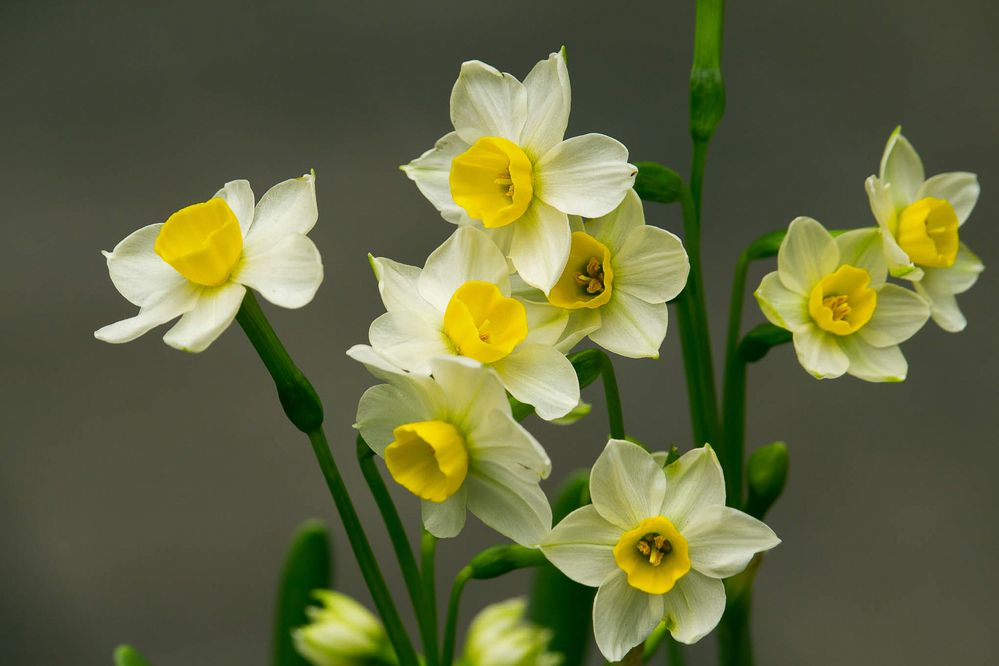 Фотография автора QUAN NGUYEN HUNG