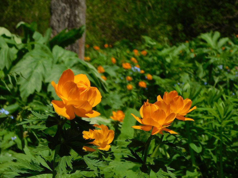 Photograph by Александр Прядко