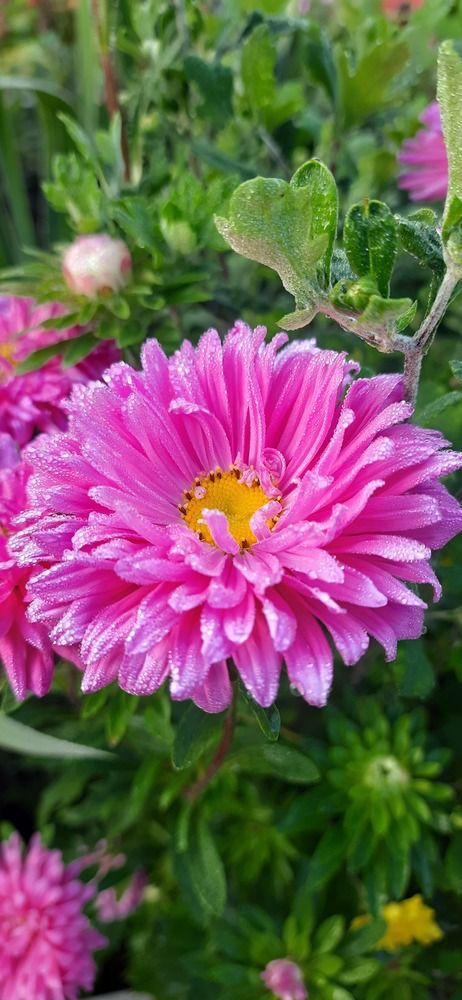 Photograph by Светлана Цапина