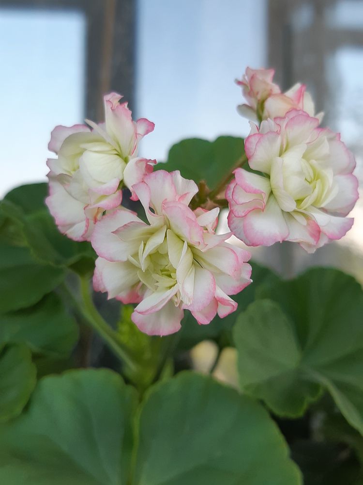 Фотография автора Валентина