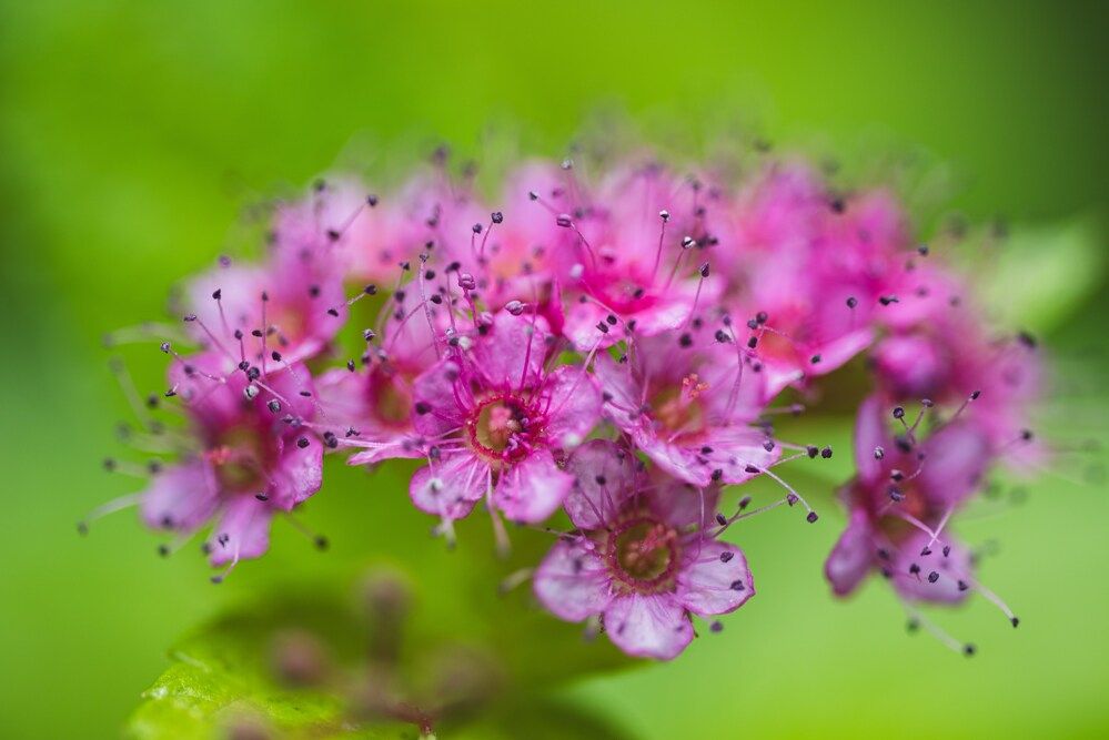 Photograph by Ксения Шилина