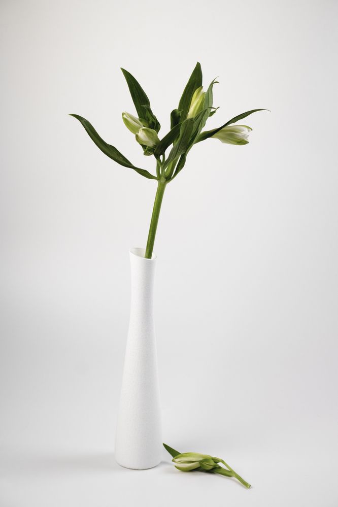 Фотография автора Дарья Обидина