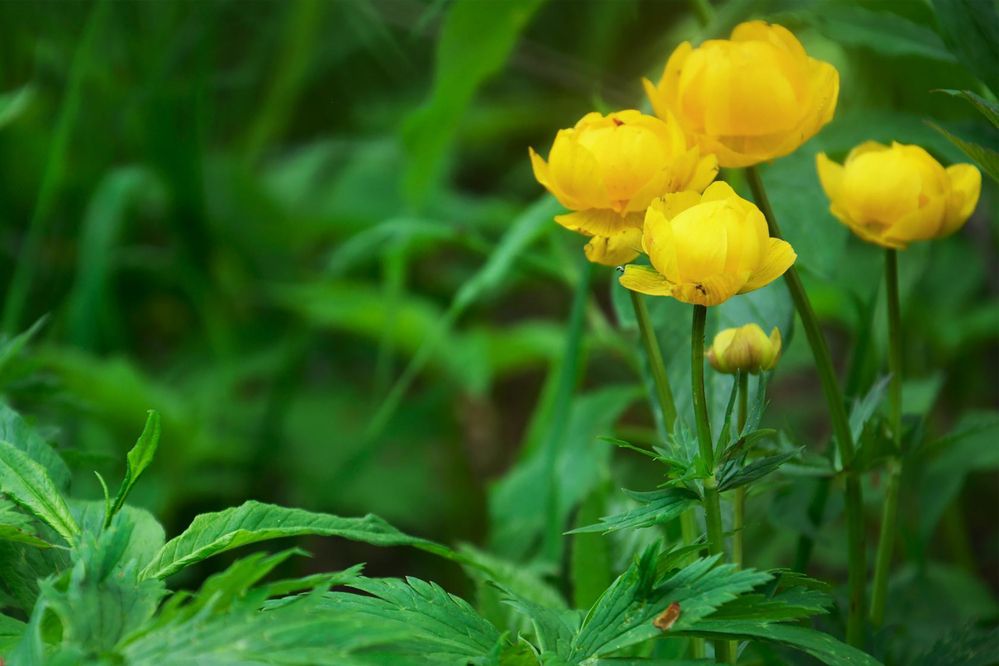 Photograph by Дмитрий Петренко
