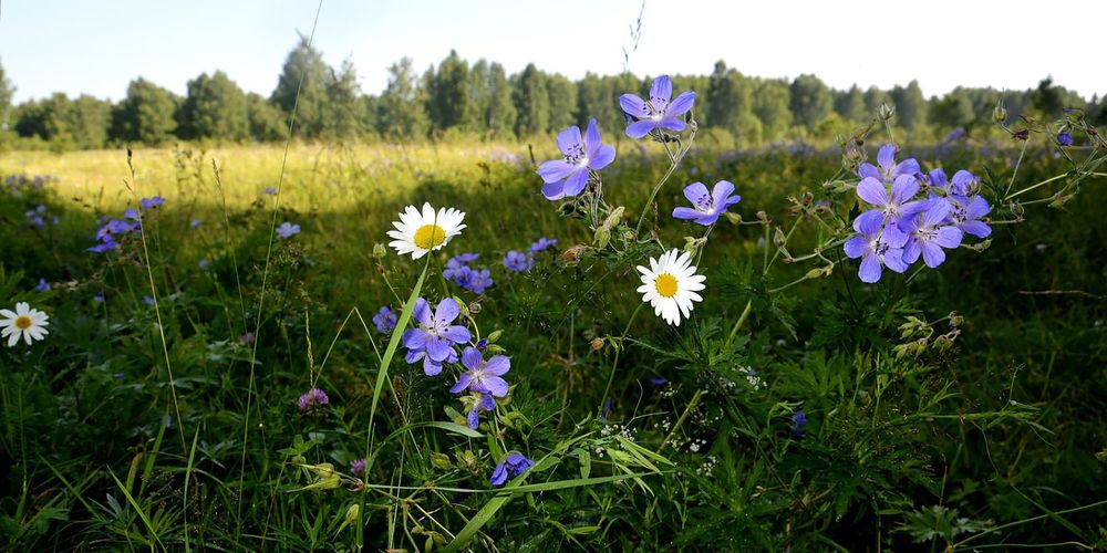 Photograph by Дмитрий Петренко