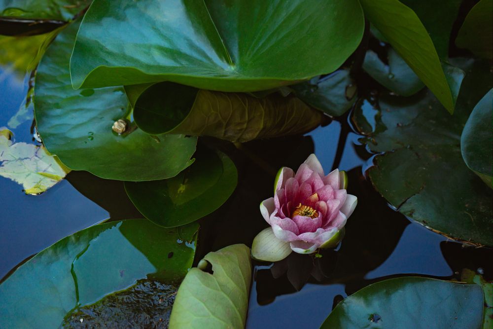 Photograph by Евгений Андреев