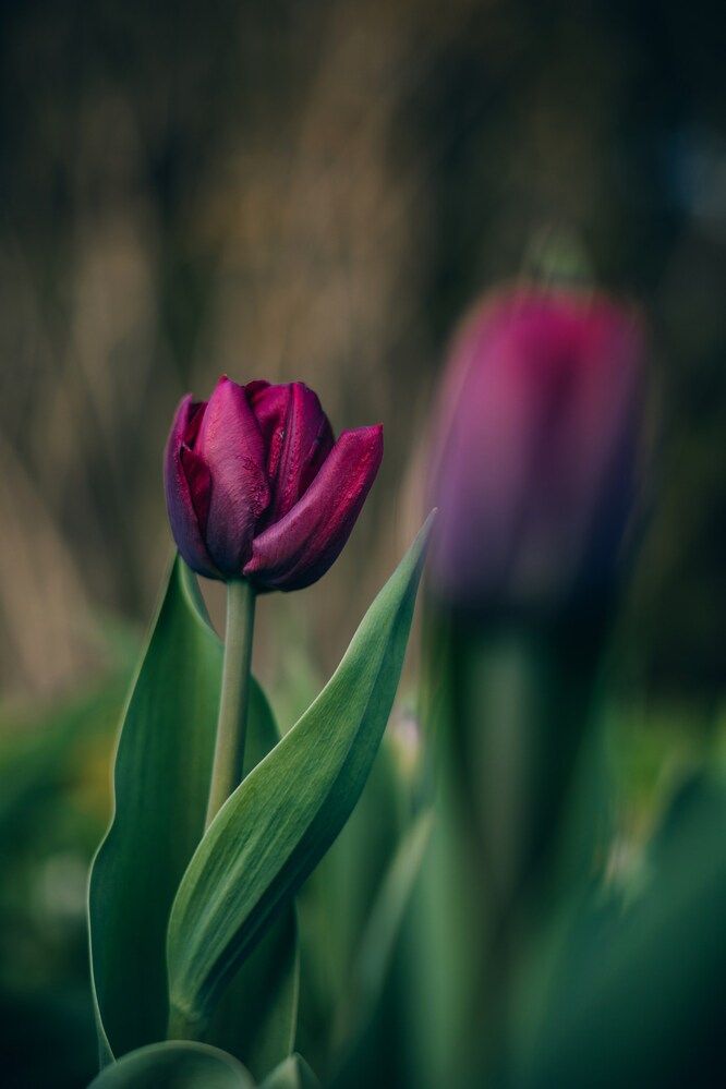 Photograph by Александра Кузуб