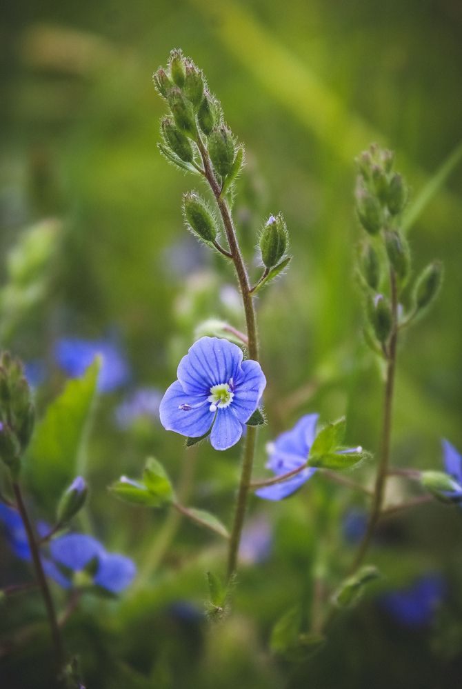 Photograph by Светлана Сергеева