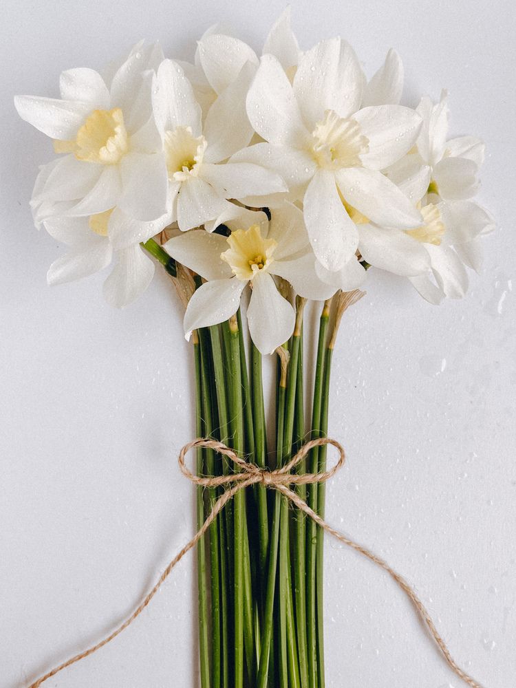 Photograph by Елена Михалева