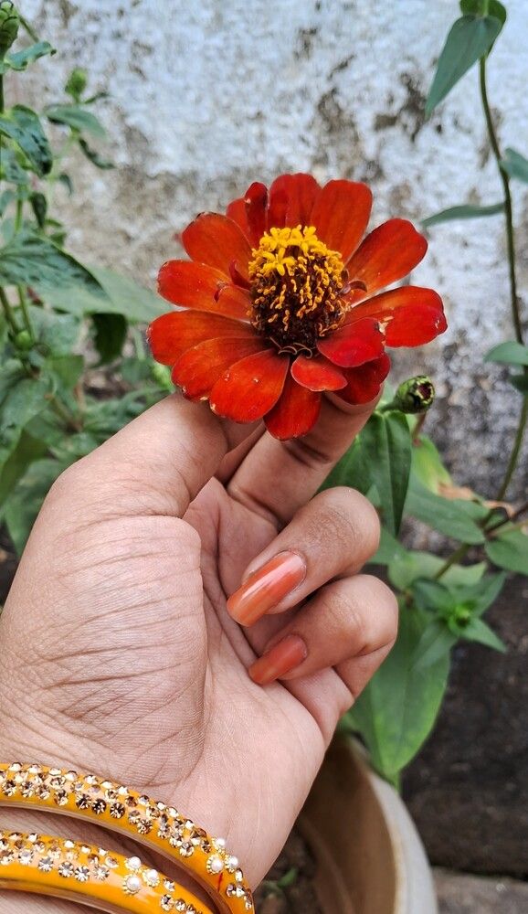 Gentle touch of nature