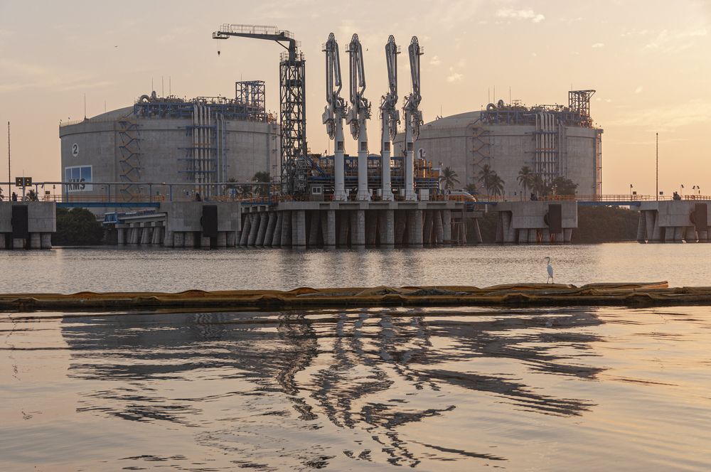 Photograph by gustavo gatto