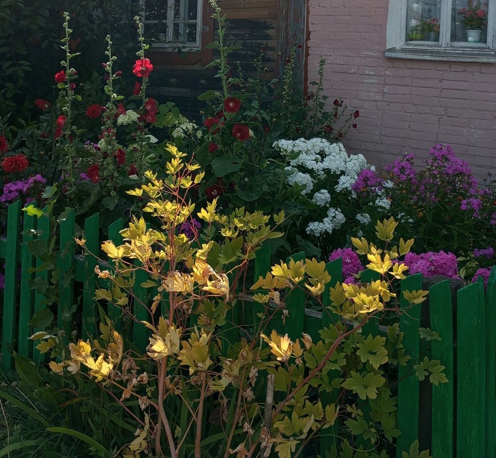 Photograph by Татьяна Кунц