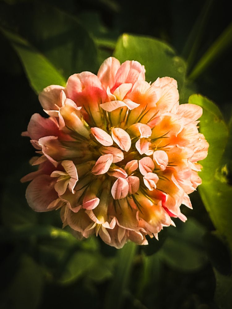 Фотография автора Татьяна Буянова