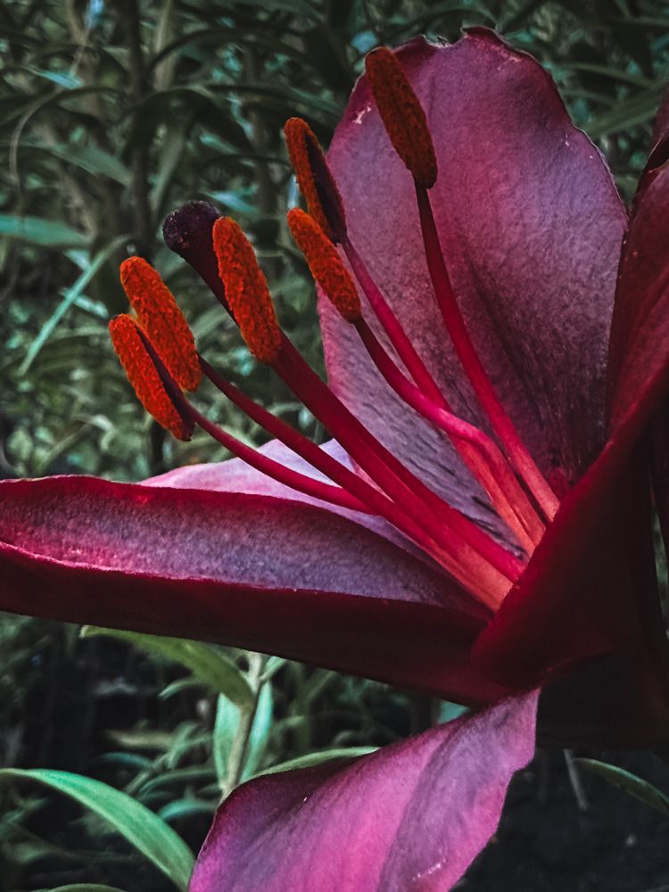 Фотография автора Татьяна Буянова