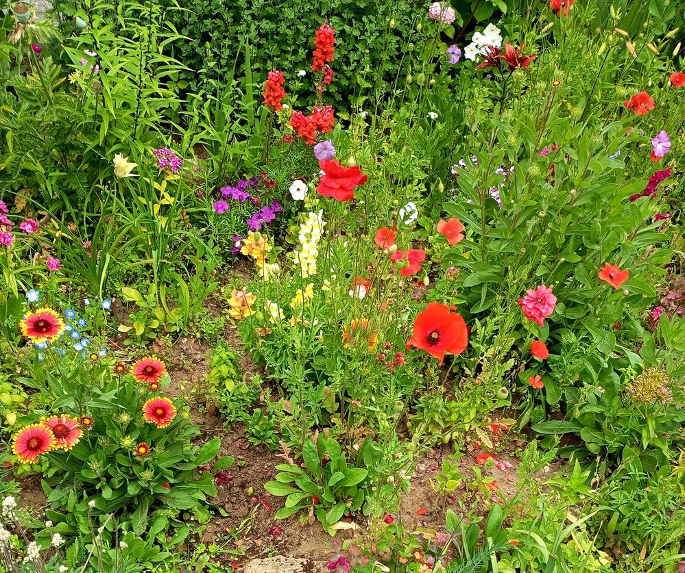 Photograph by Татьяна Кунц