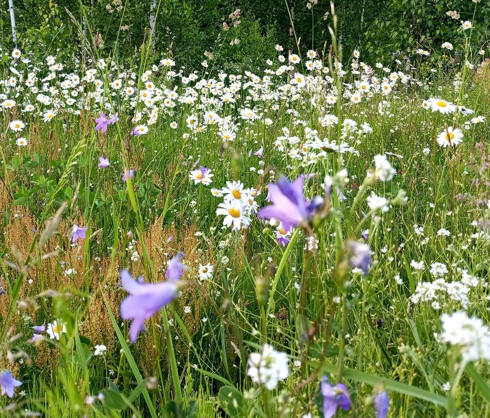 Photograph by Татьяна Кунц