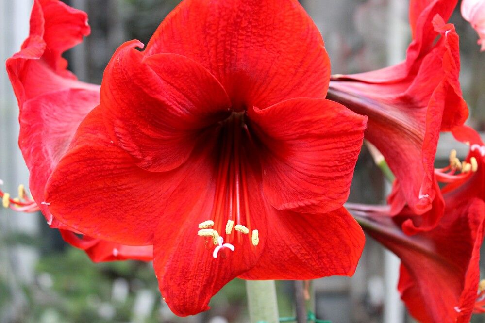 Photograph by Галина Мазур