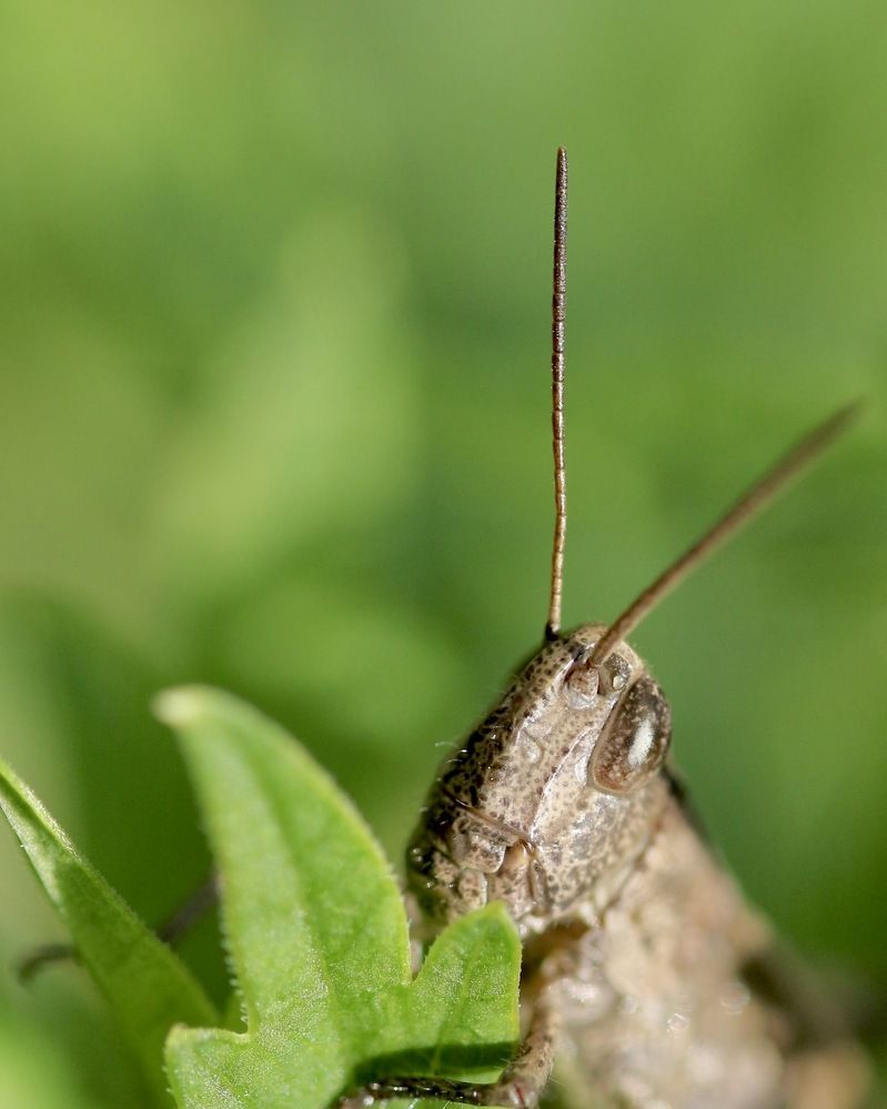 Photograph by Затямин Александр