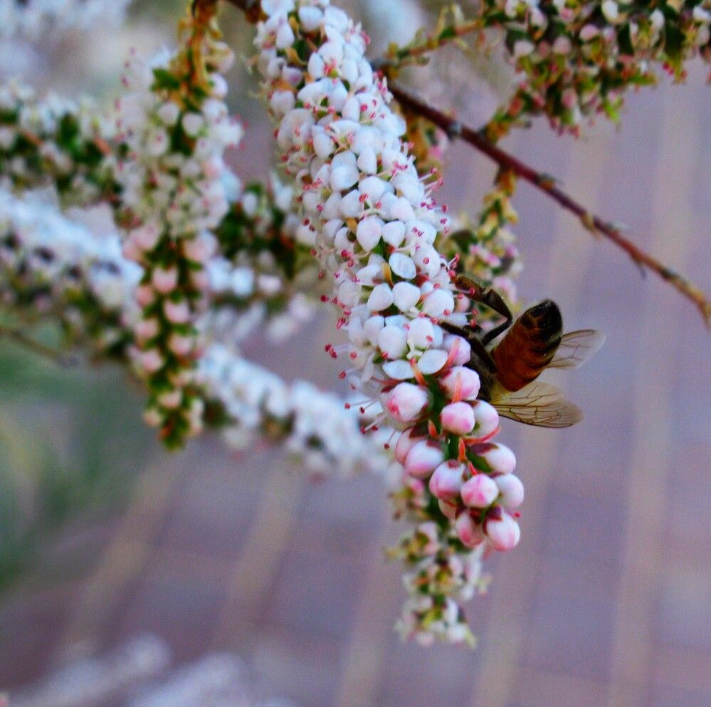 Photograph by Leonid Yarmolinsky