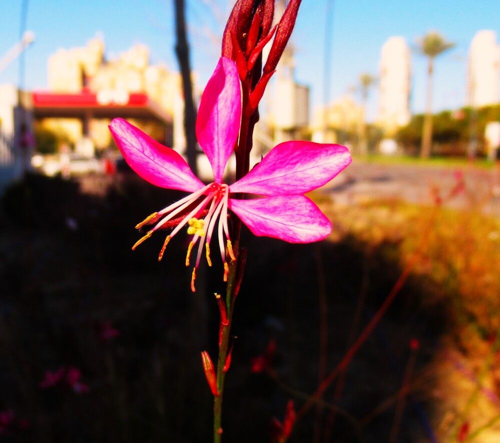 Photograph by Leonid Yarmolinsky