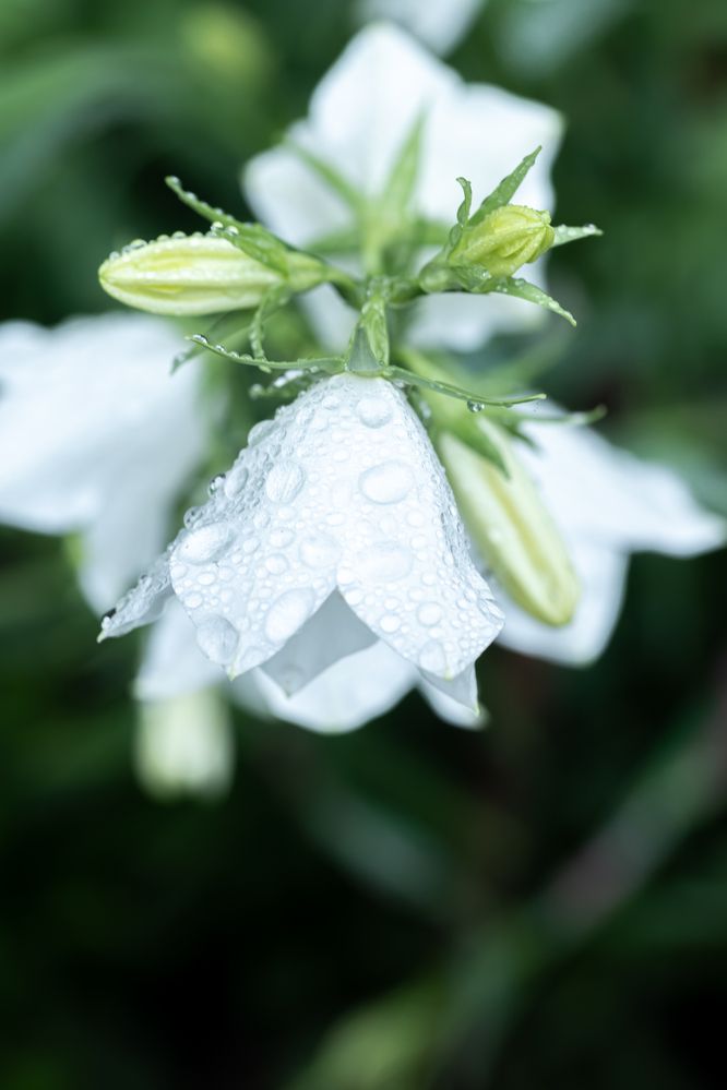 Photograph by Анна Оськина