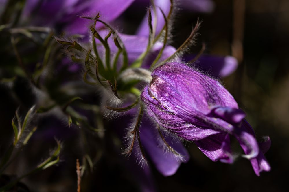 Photograph by Анна Оськина