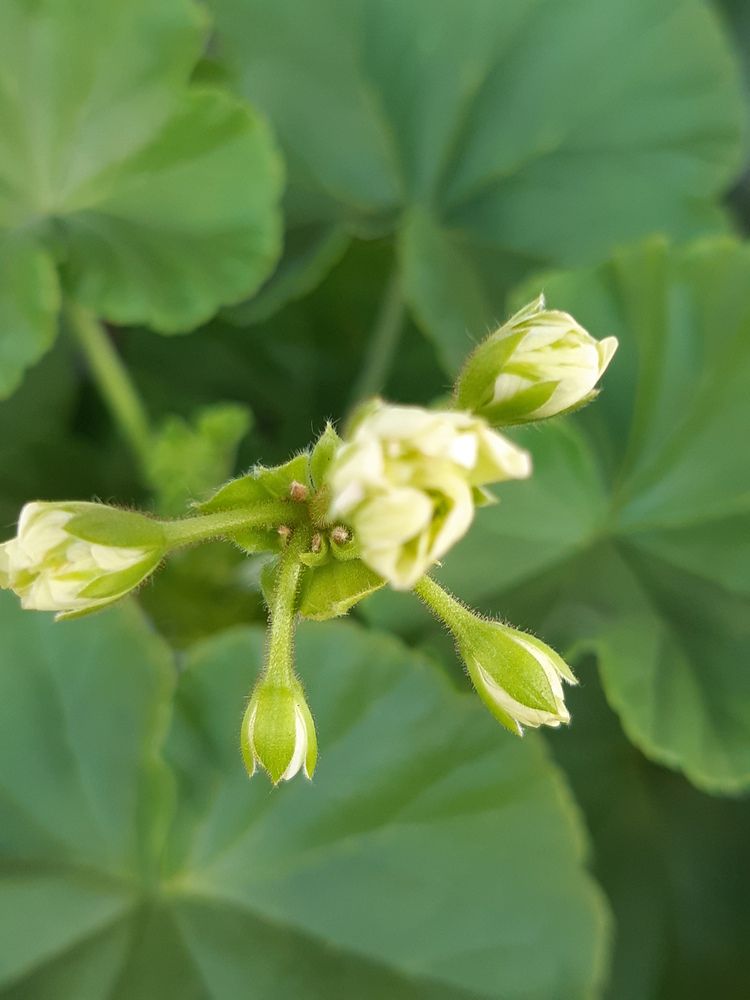 Фотография автора Валентина