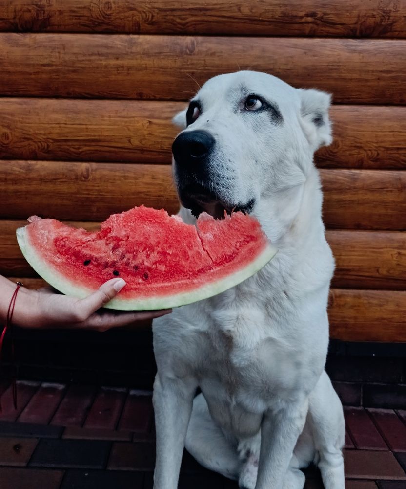 Photograph by Курчина Вероника