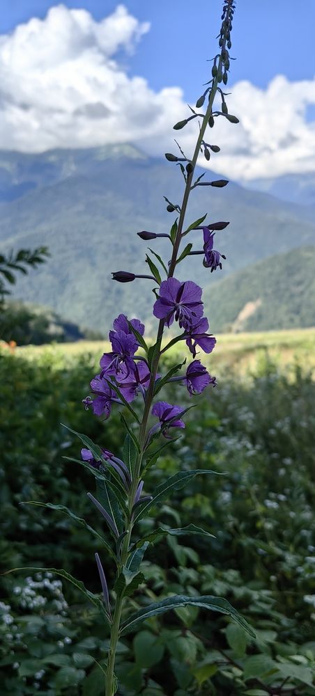 Photograph by Нина Колпакова