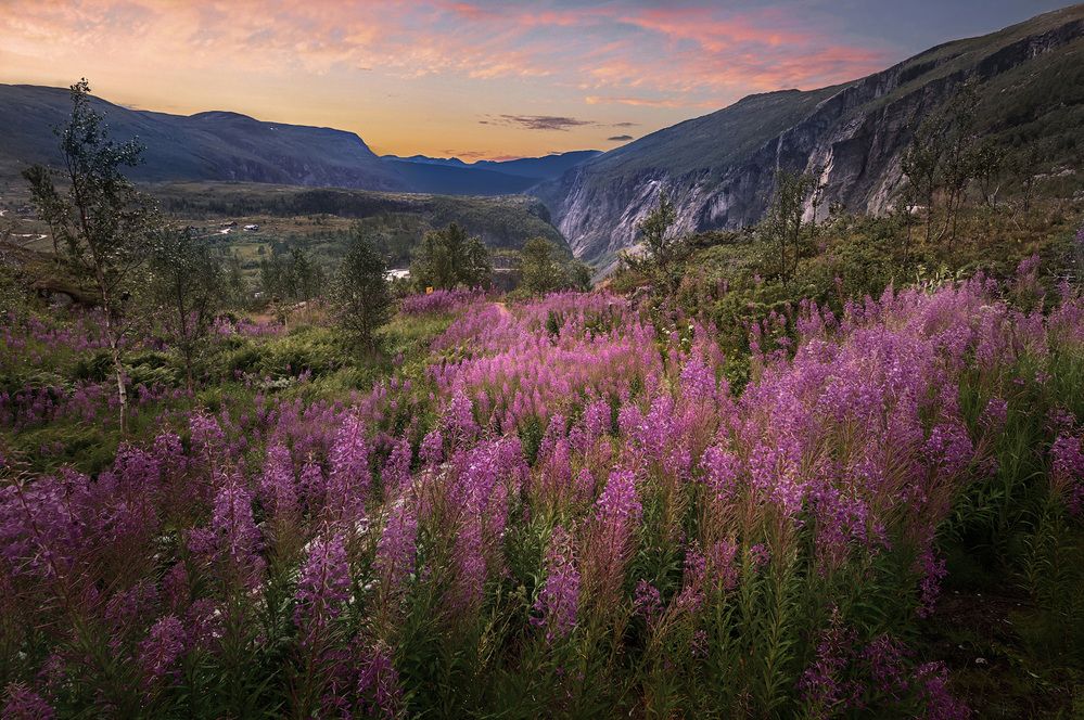 Photograph by Алексей Козлов