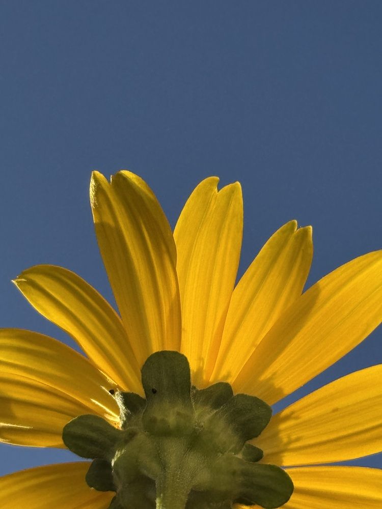 Фотография автора Татьяна Шайпак