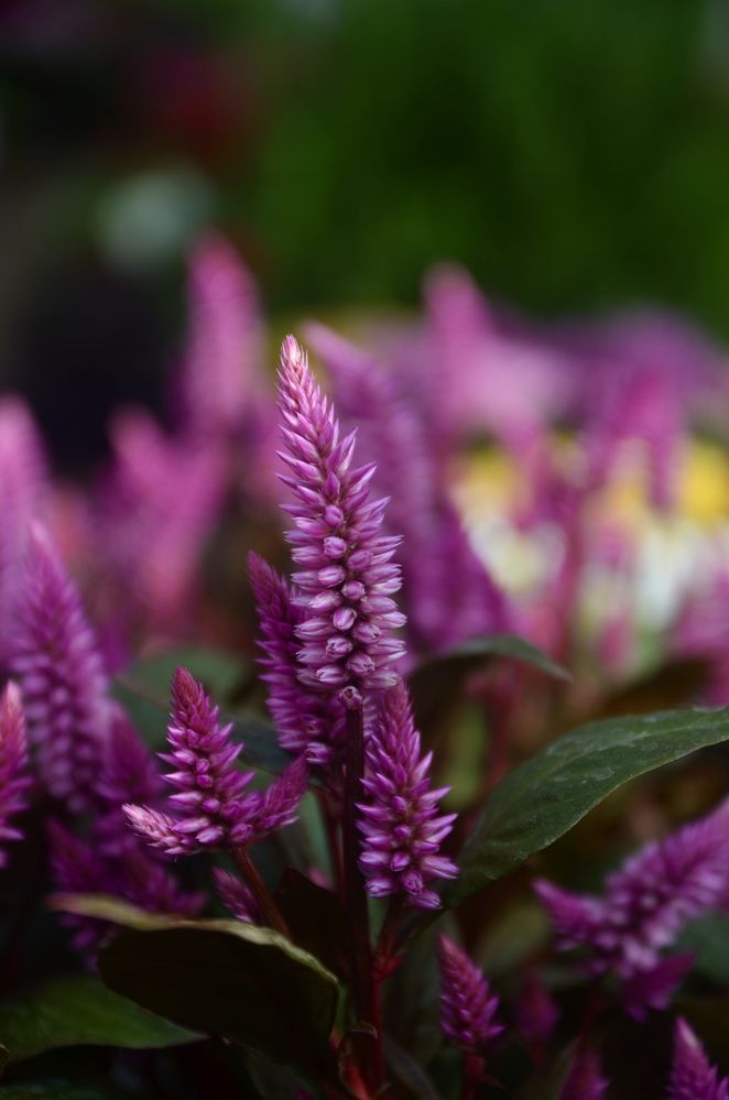 Photograph by Екатерина Мелихова