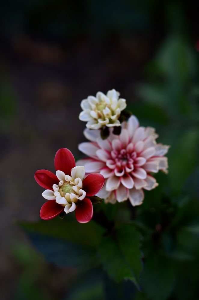 Photograph by Екатерина Мелихова