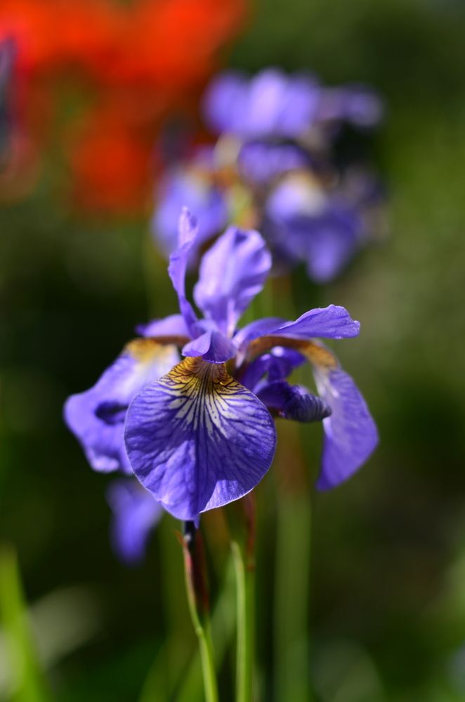 Photograph by Екатерина Мелихова