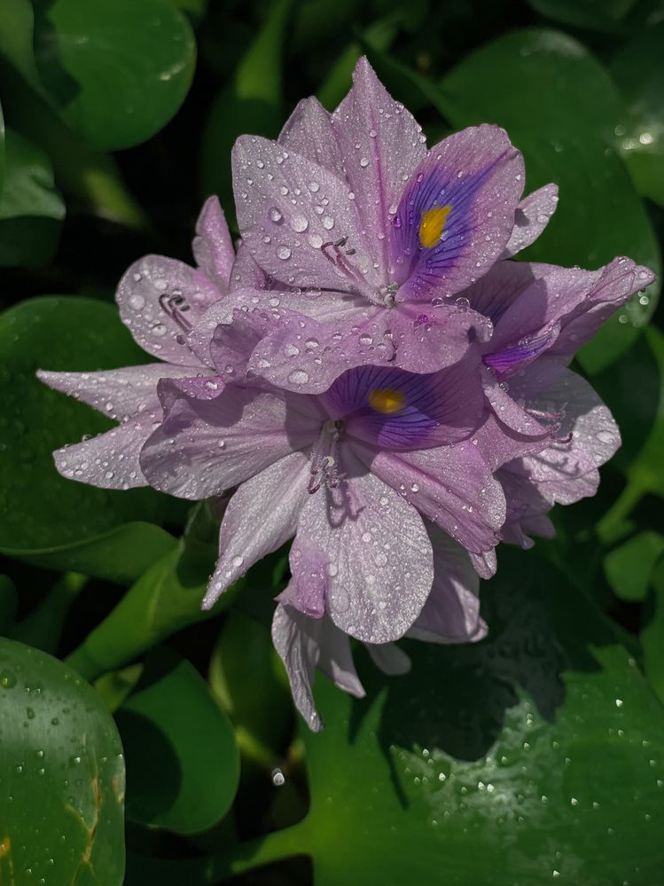 Photograph by Марина Фомичева