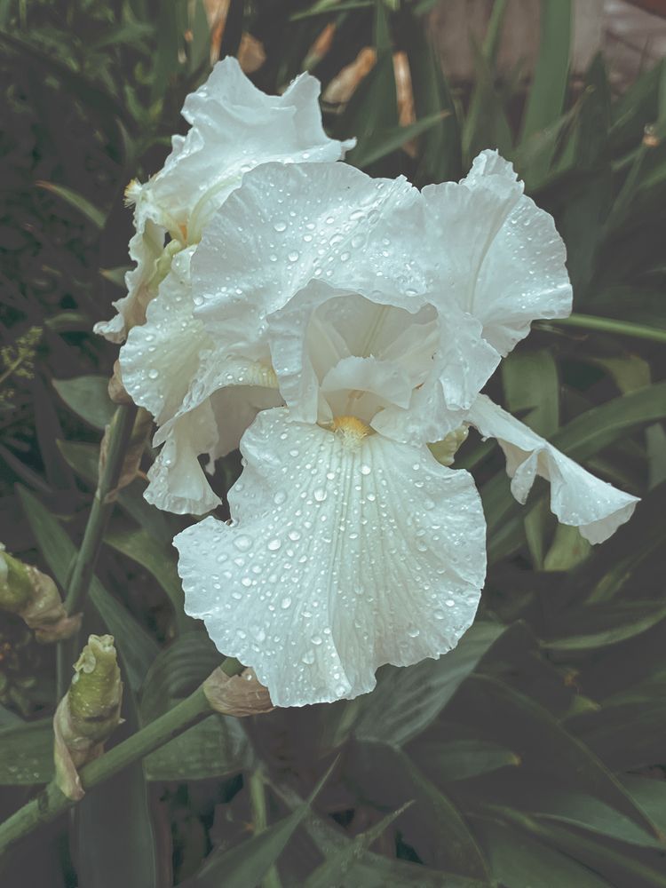 Photograph by Марина Фомичева