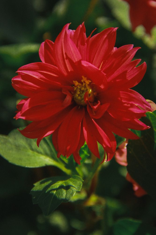 Photograph by Марина Фомичева