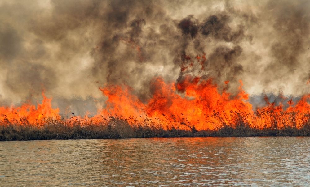 Photograph by Илья К