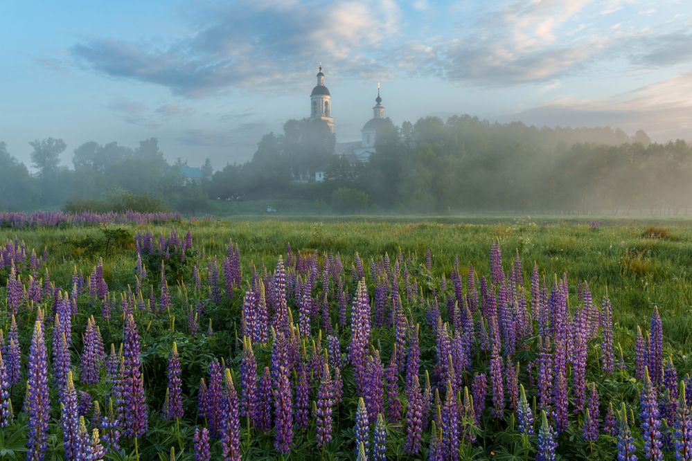 Photograph by Добродий Михаил