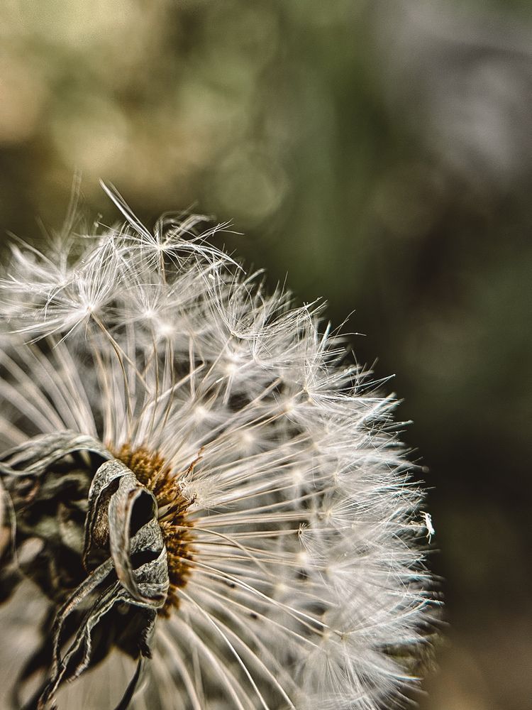 Фотография автора Татьяна Шайпак