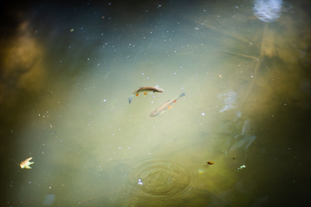 Photograph by Филипп Бабенко