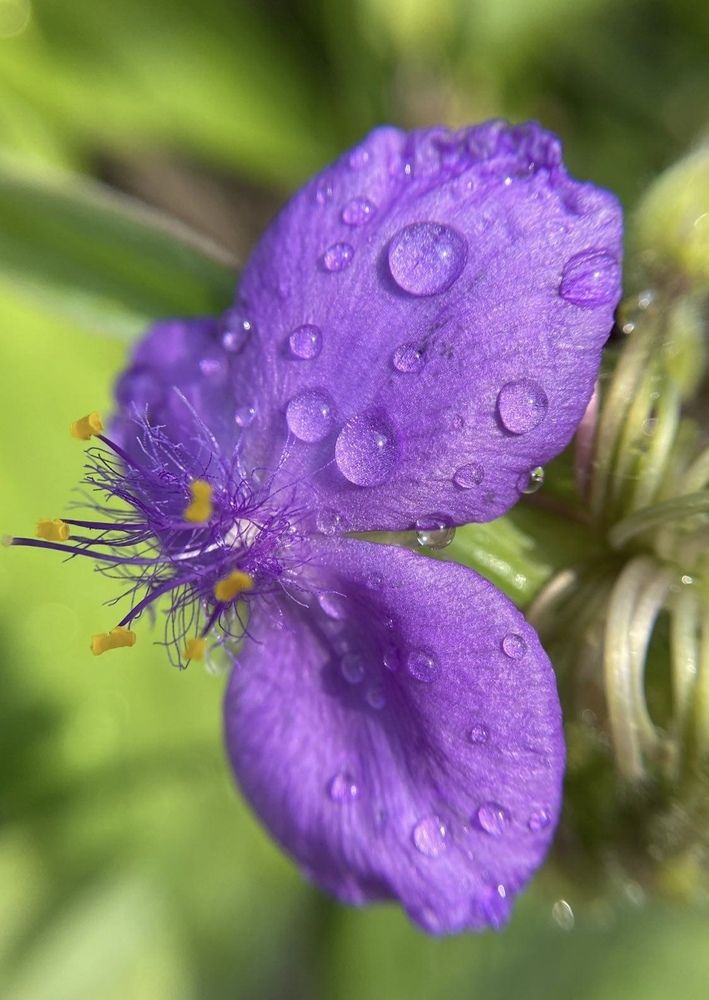 Photograph by Anna Shelutina