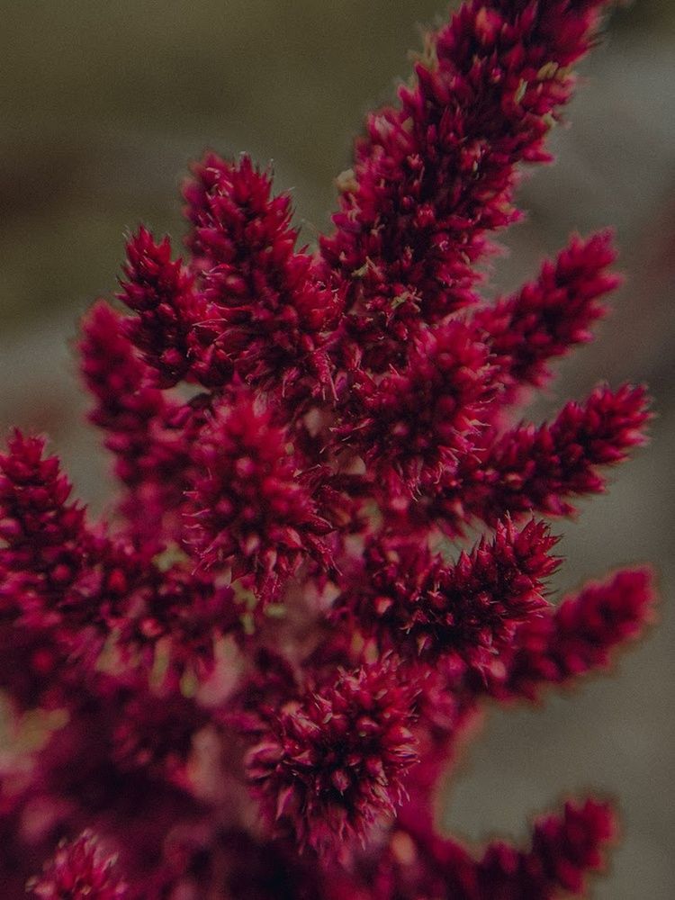 Photograph by Алёна Горошко