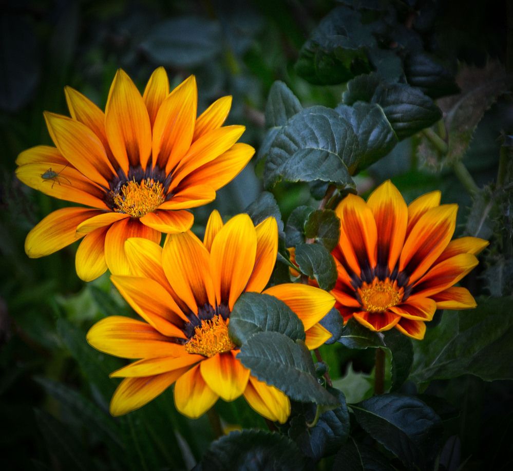 Photograph by Александра Климина