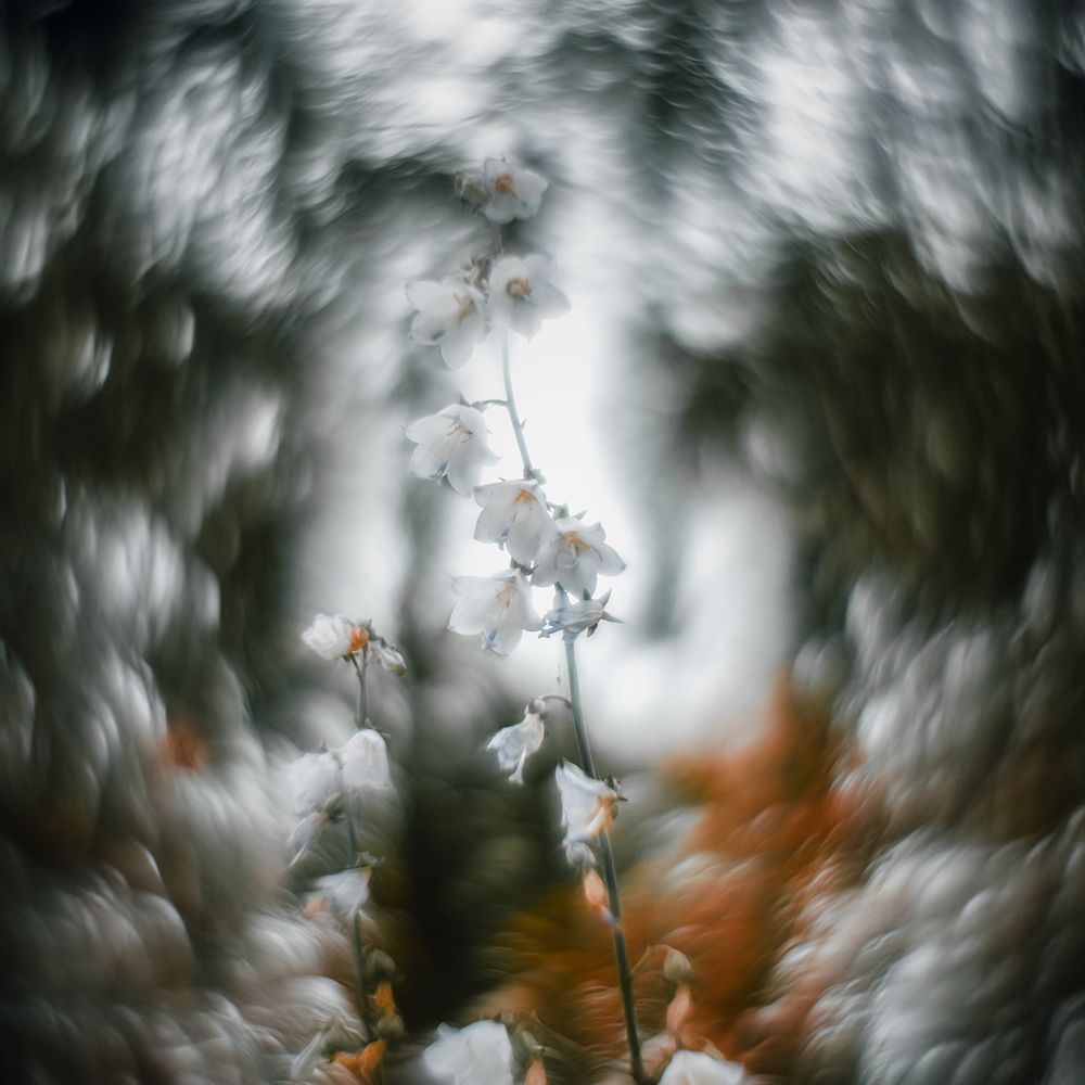 Фотография автора Refat Mamutov