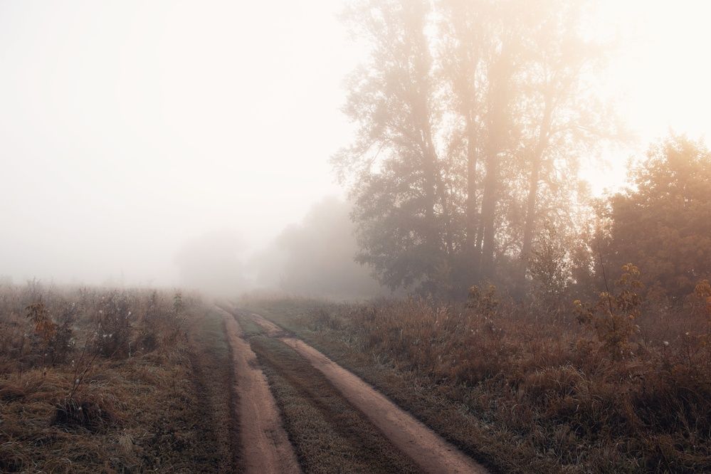 Photograph by Анна Любимова