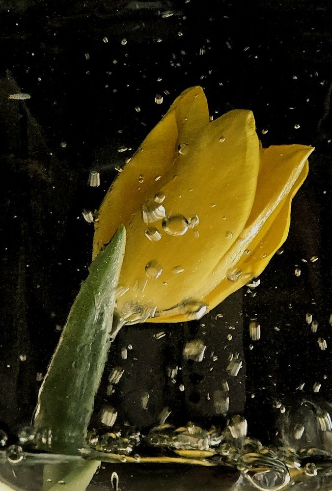 Photograph by Наталья Анисимова