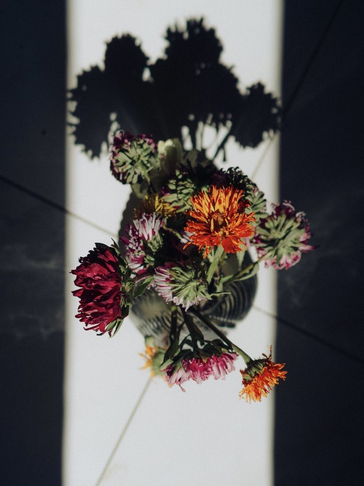 Photograph by Юлия Белоусова