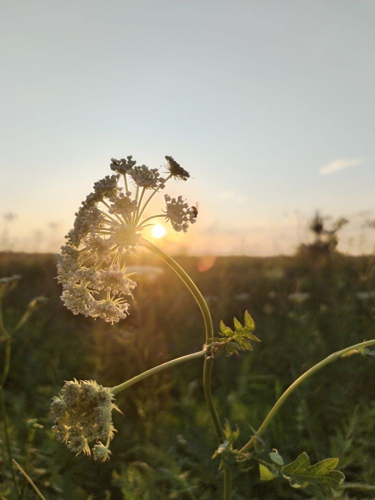 Photograph by Юлия Меркулова
